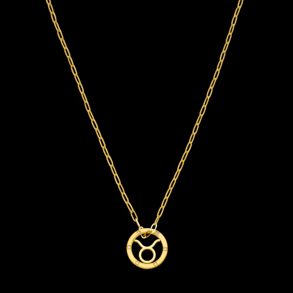 Taurus Zodiac Symbol Necklace
