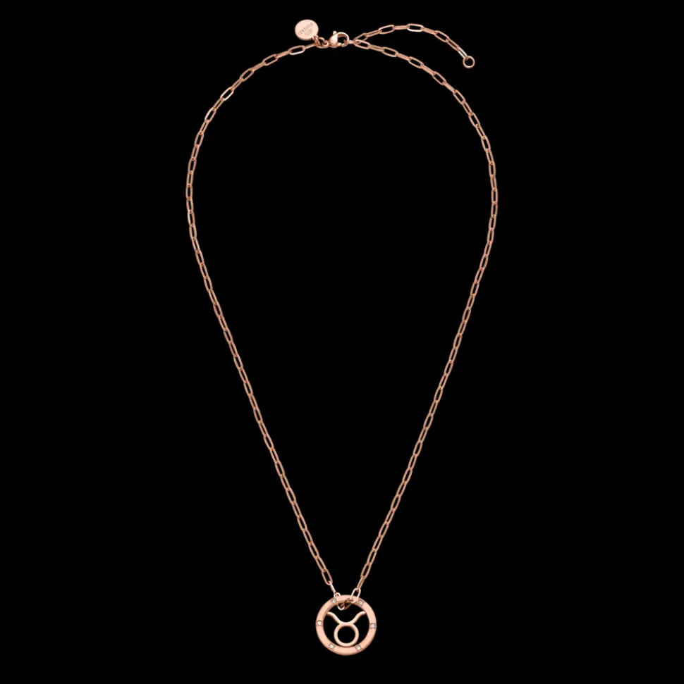 Taurus Zodiac Symbol Necklace