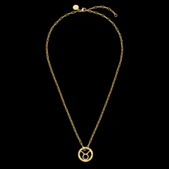 Taurus Zodiac Symbol Necklace