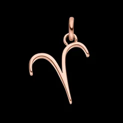 Zodiac Charm Aries