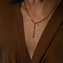 Zodiac Charm Leo